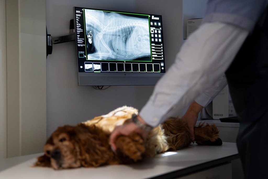 Radiographie au cabinet
